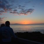 Cambria_0227 (November 04, 2017)